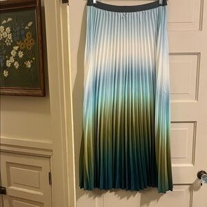 Elegant Ombre Pleated Skirt